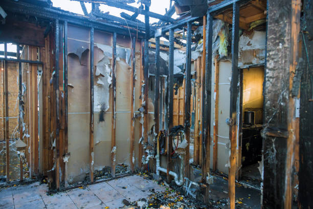 Professional Fire Damage Removal technician working in Urbana, MD
